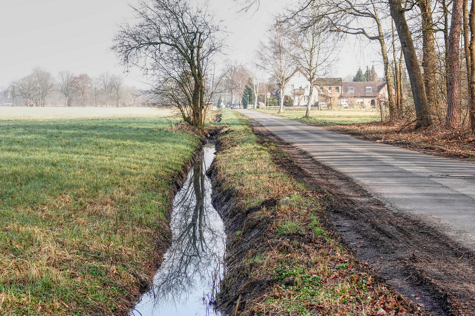 Im Straßengraben 