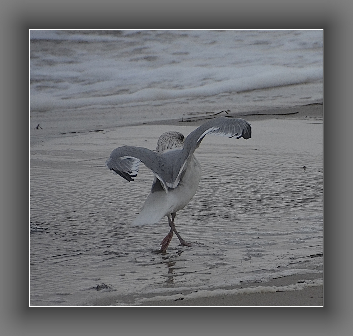 Im Sturm an der Ostsee