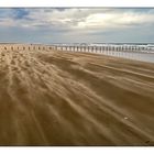 Im Sturm - Lakolk Strand auf Rømø