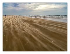 Im Sturm - Lakolk Strand auf Rømø