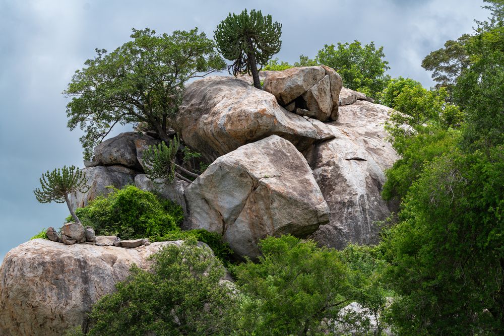 Im Süden des Kruger Nationalparks