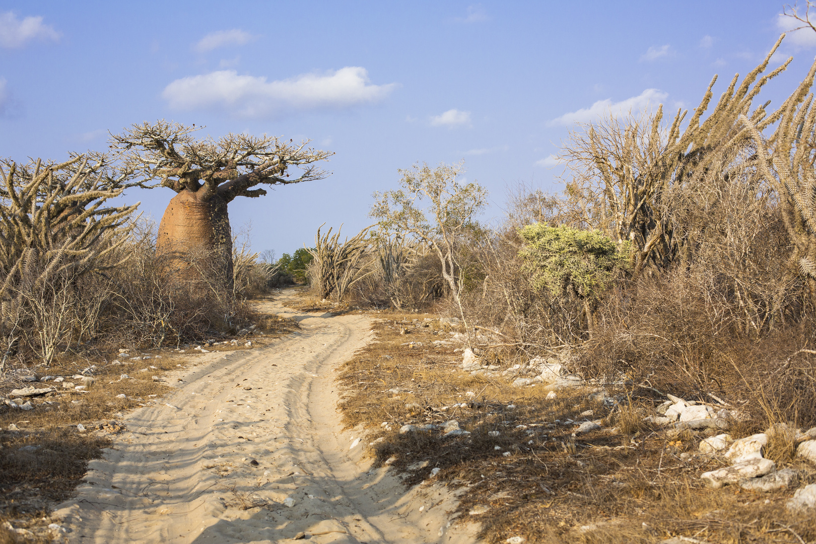 Im Süden von Madagaskar