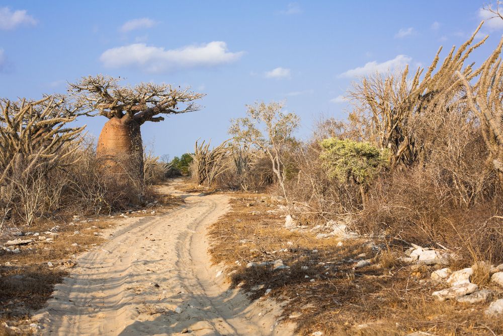 Im Süden von Madagaskar