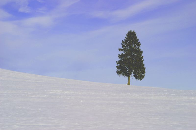 *** im südlichen Allgäu2 ***