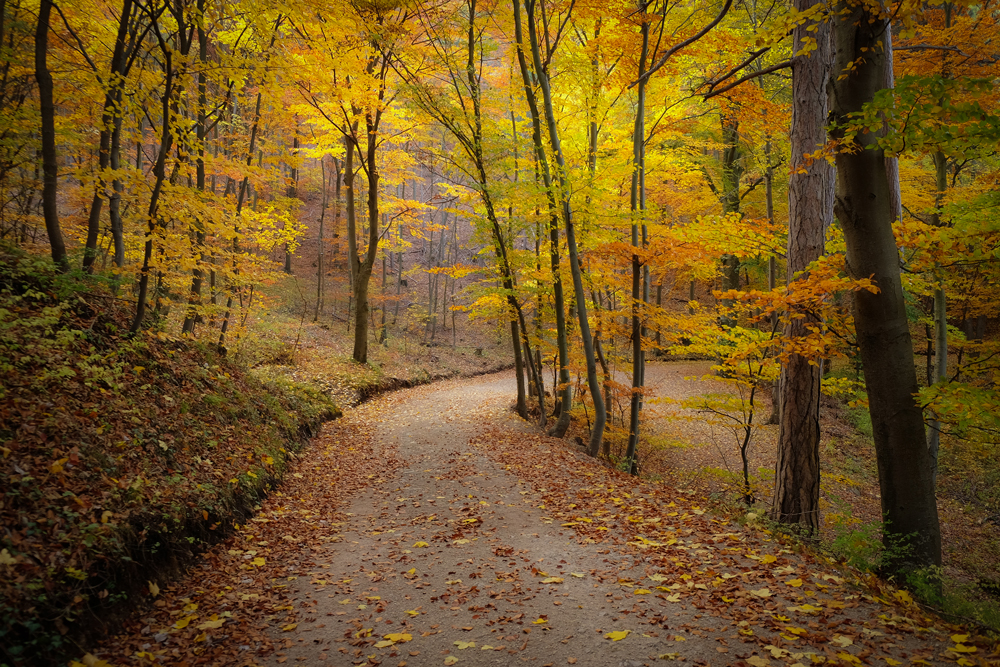 Im südlichen Wienerwald