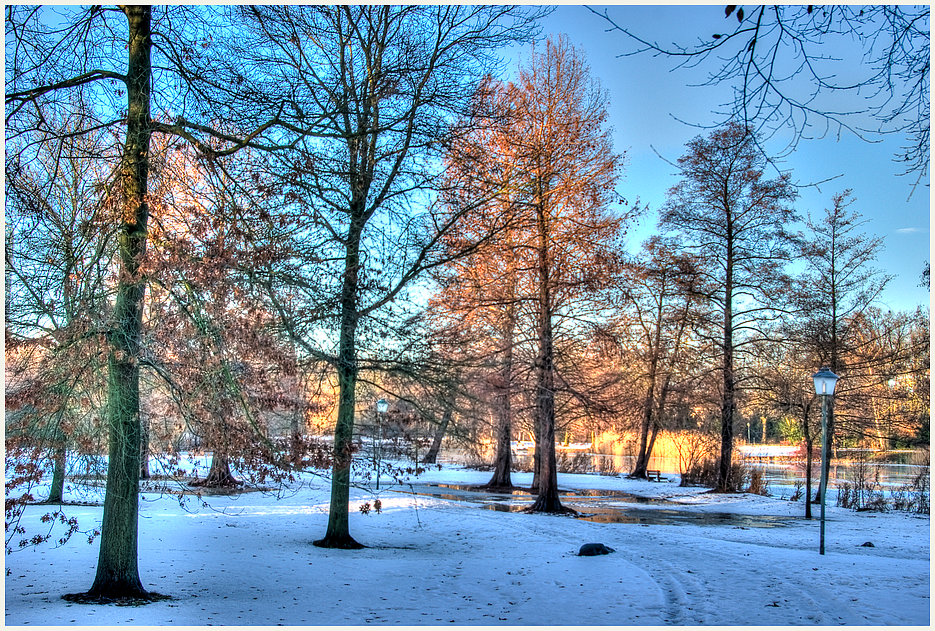 im südpark