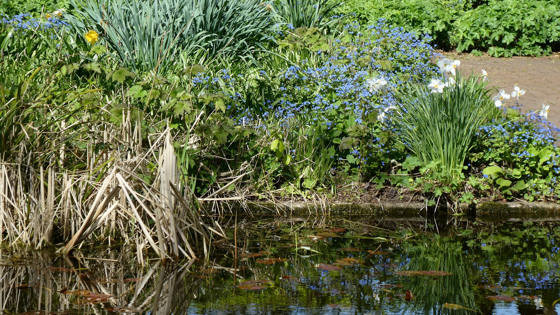 Im Südpark Düsseldorf