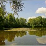 Im Südpark Düsseldorf