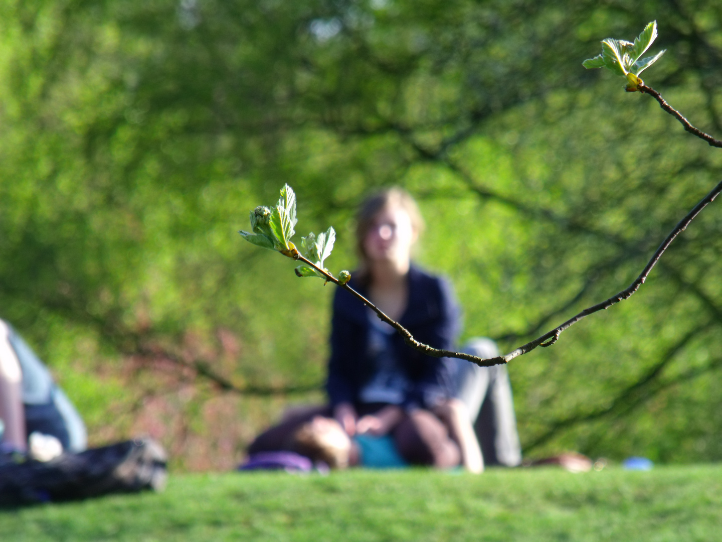 im Südpark