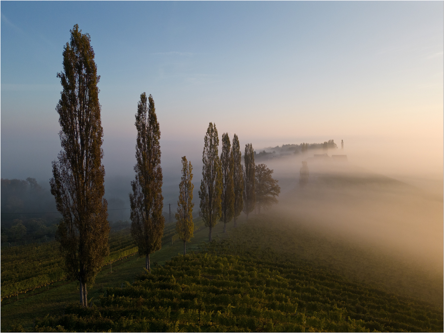 im südsteirischen Weinland