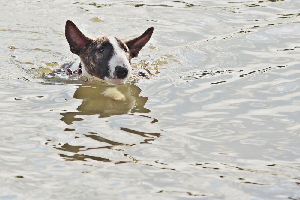 I´m swiming in the river