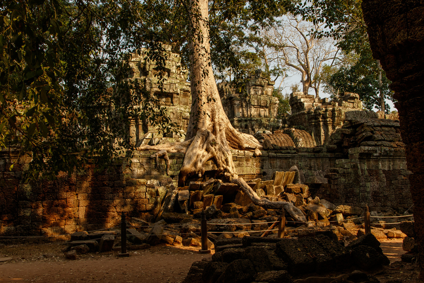 Im Ta Prohm Foto & Bild architektur, asia, cambodia Bilder auf