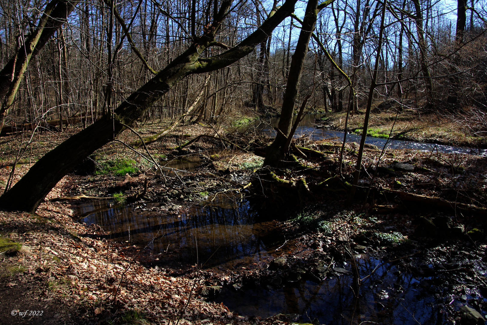 Im Tal Foto & Bild natur, landschaft, bach Bilder auf