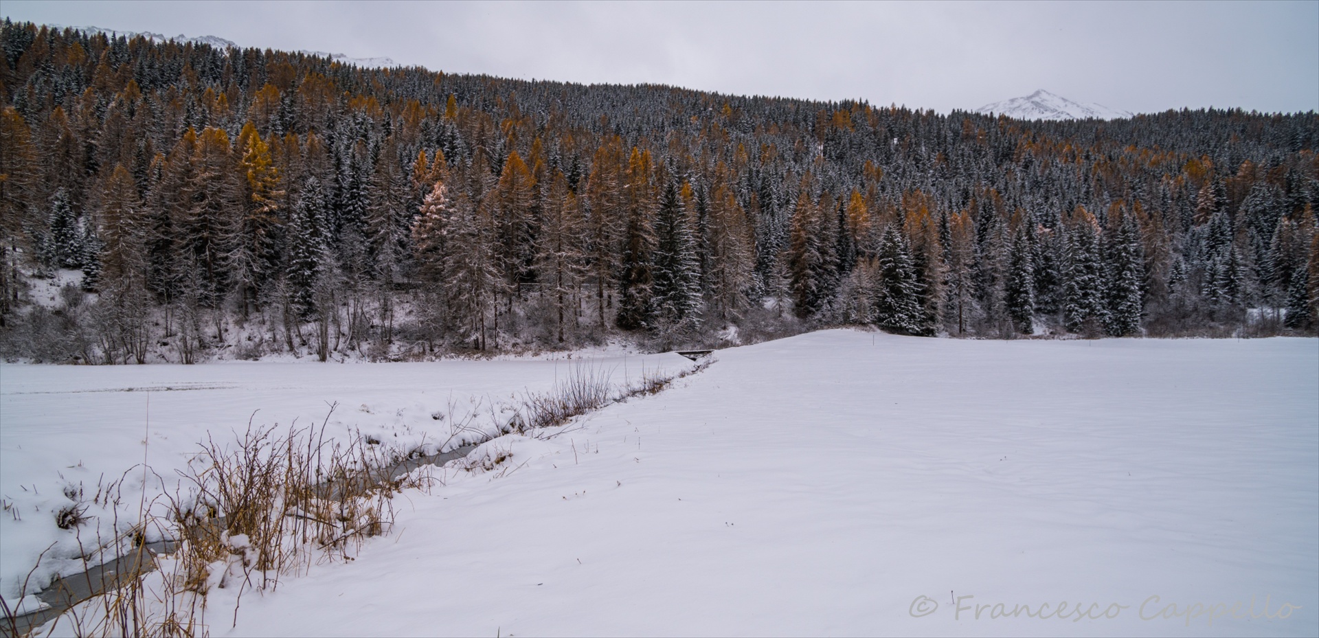 im Tal bei Fuldera