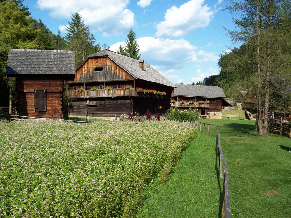 im tal der bauernhöfe