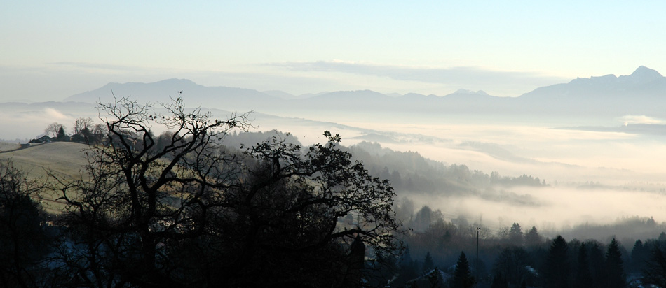 Im Tal der Blauen Reiter