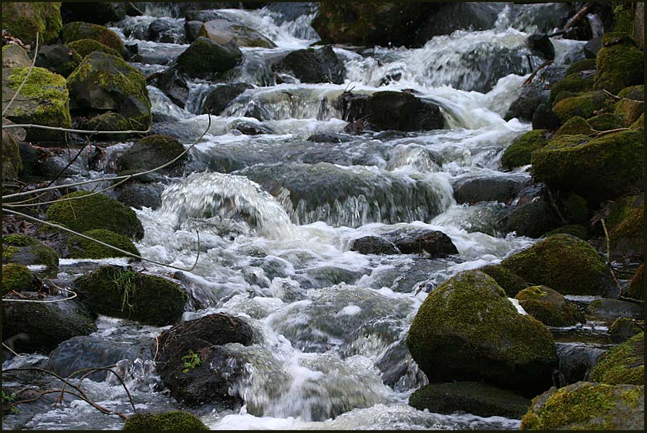 Im Tal der Eisvögel