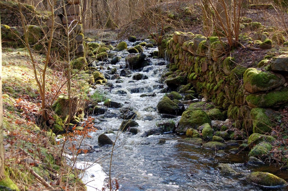 Im Tal der Eisvögel