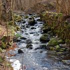 Im Tal der Eisvögel