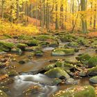 Im Tal der flüsternden Steine