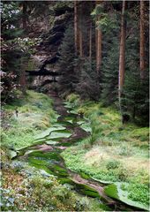 im Tal der Großen Biela