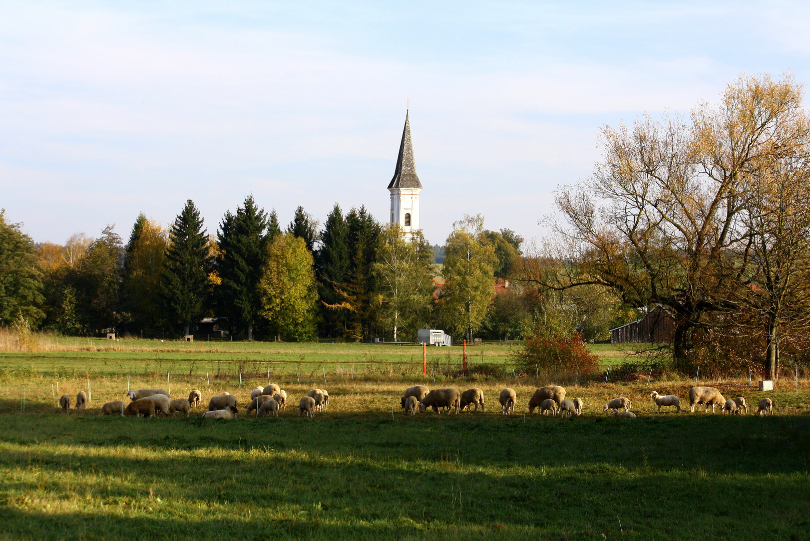 Im Tal der großen Laaber 