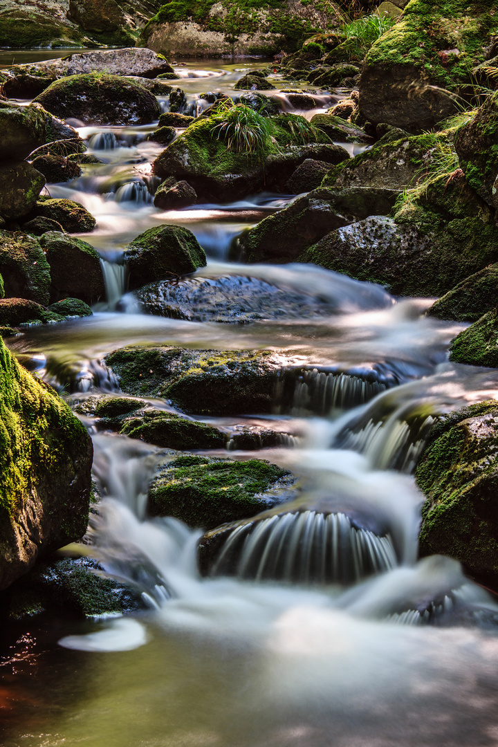 Im Tal der Ilse im Harz