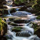 Im Tal der Ilse im Harz