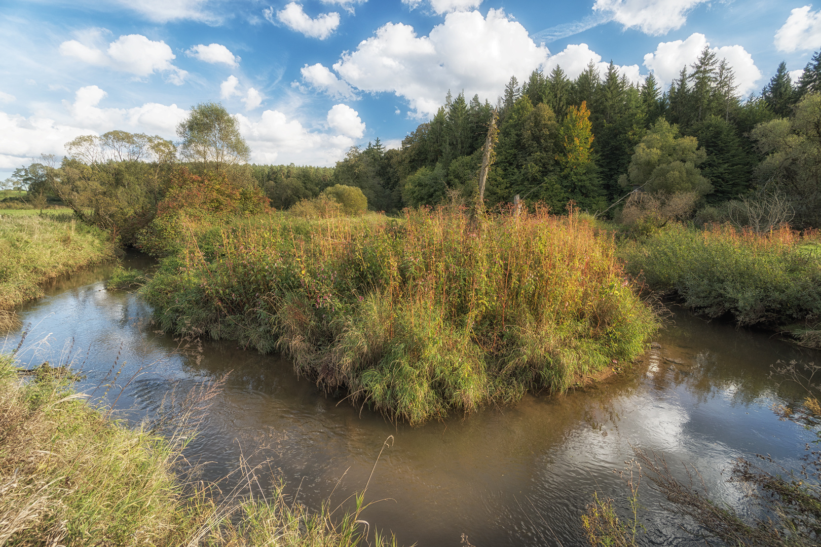 Im Tal der jungen Pegnitz