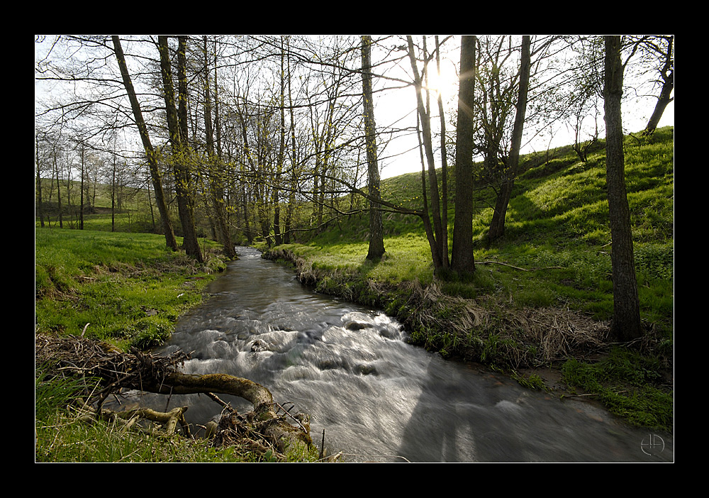 Im Tal der Kleinen Triebisch