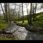 Im Tal der Kleinen Triebisch