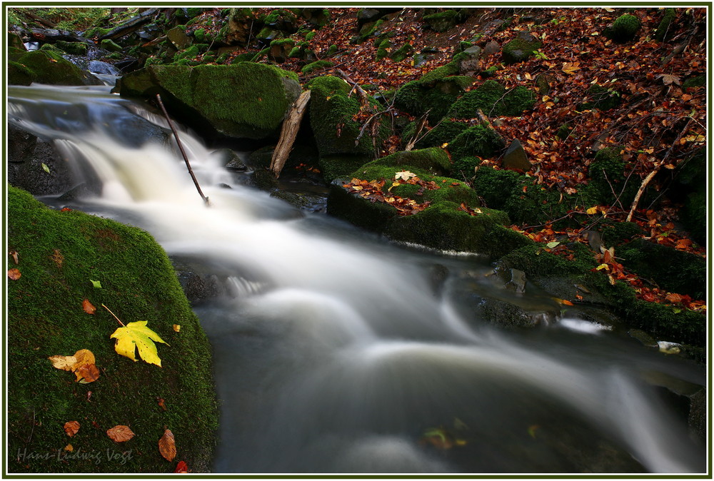 Im Tal der Kohlbach