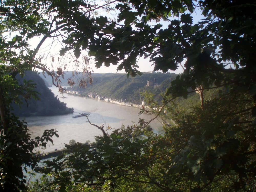 Im Tal der Loreley