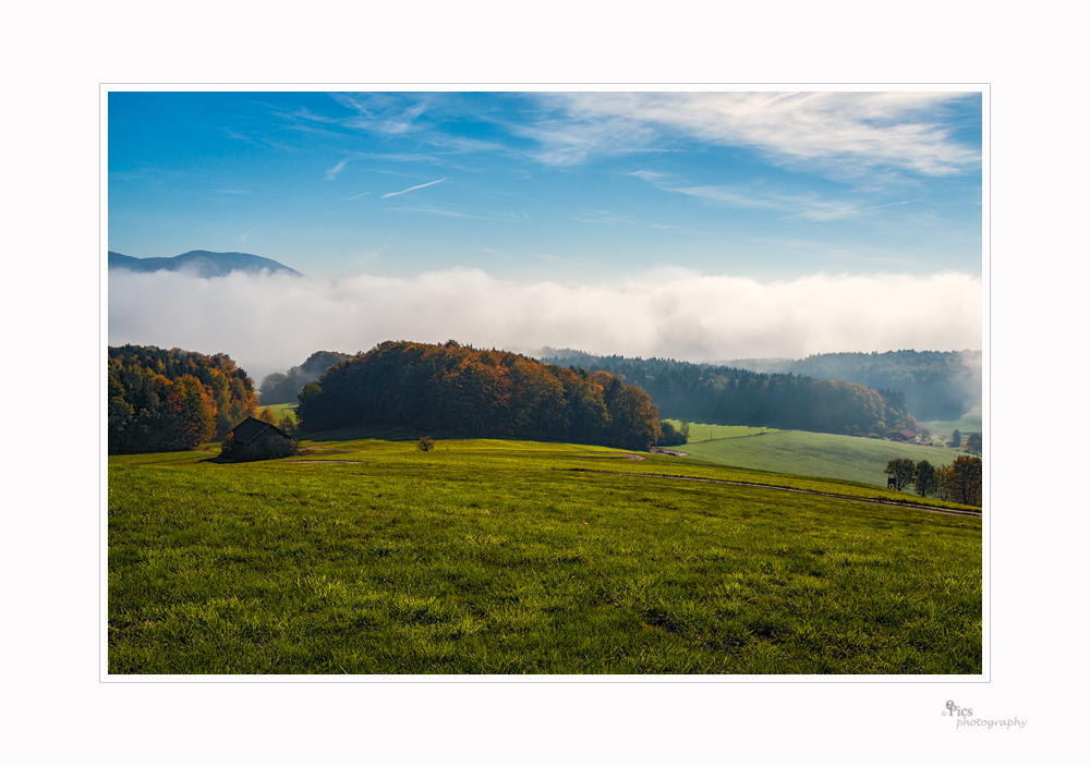 Im Tal der Nebel