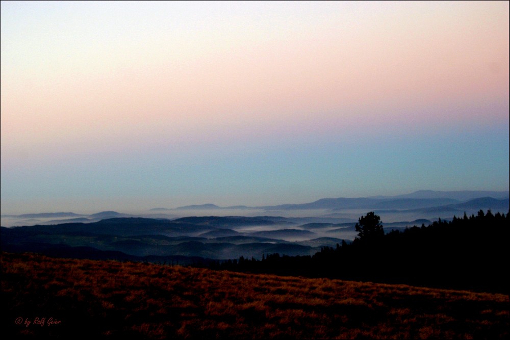 im Tal der Nebel