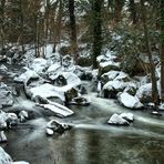 Im Tal der Nette - an der Rauschermühle (4)