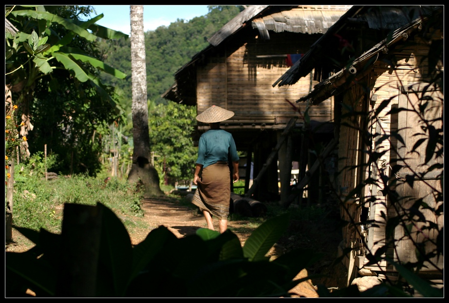 Im 'Tal der Reisfelder' bei Muang Ngoi, Laos