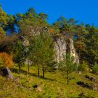 Im Tal der schwarzen Laber