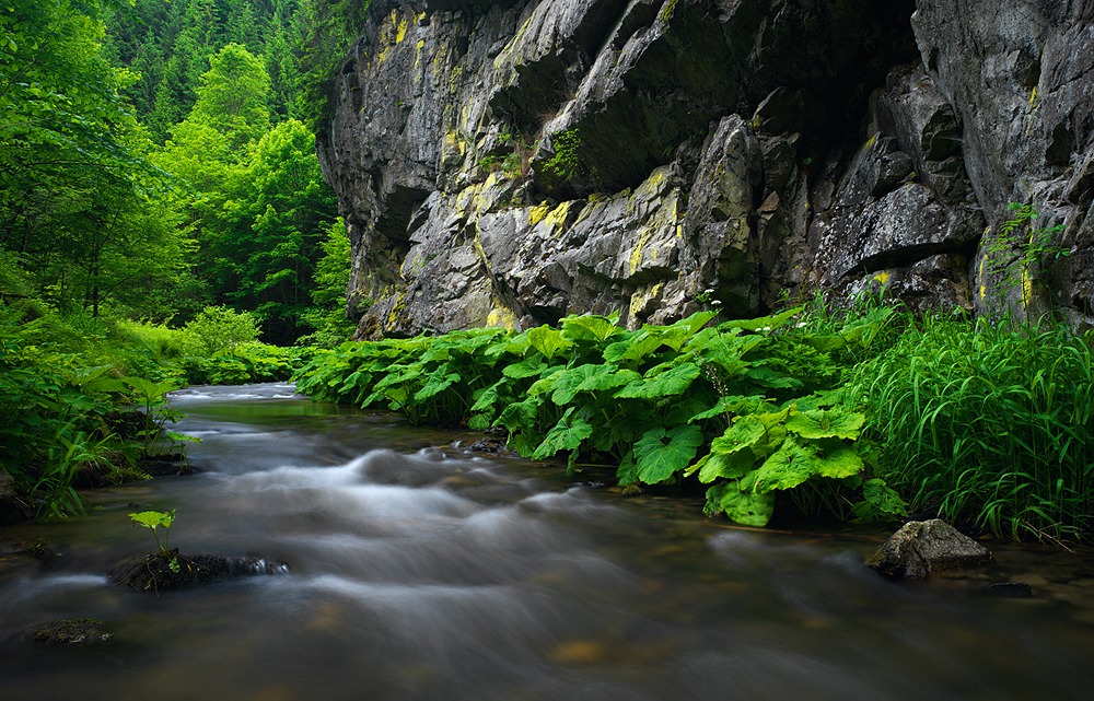 Im Tal der Steinach