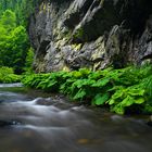 Im Tal der Steinach