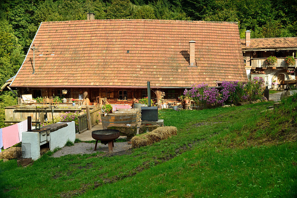 Im Tal der Stressfreien Zone Nr.1