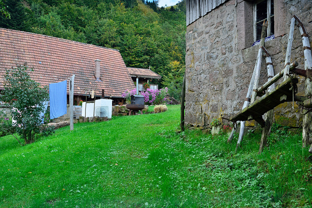 Im Tal der Stressfreien Zone Nr.2