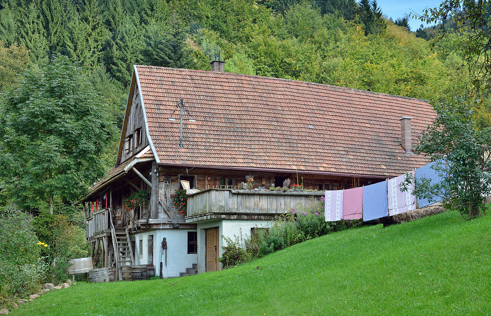 Im Tal der Stressfreien Zone Nr.3