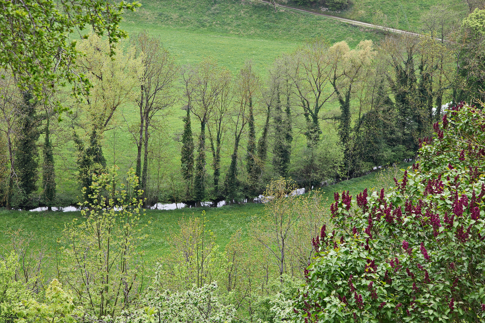 Im Tal der Tauber bei Rothenburg