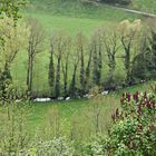 Im Tal der Tauber bei Rothenburg