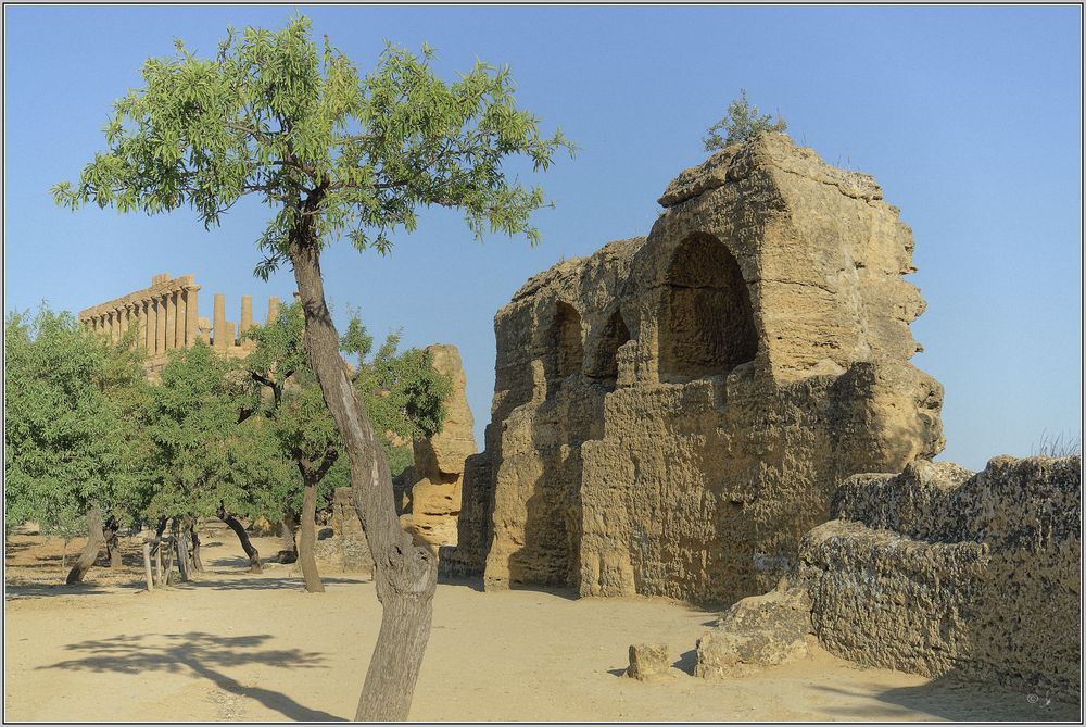 Im Tal der Tempel --- Agrigento