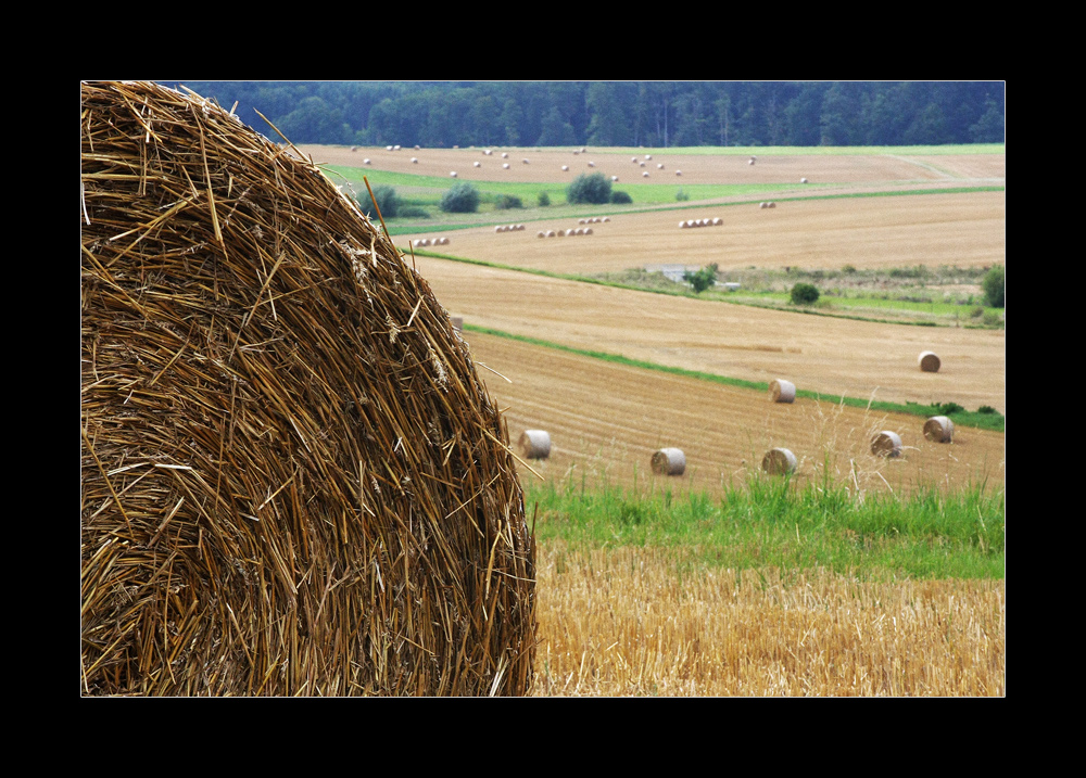 Im Tal der Todesballen