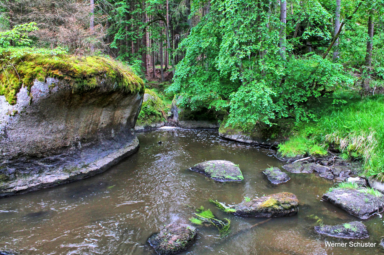 Im Tal der Waldnaab