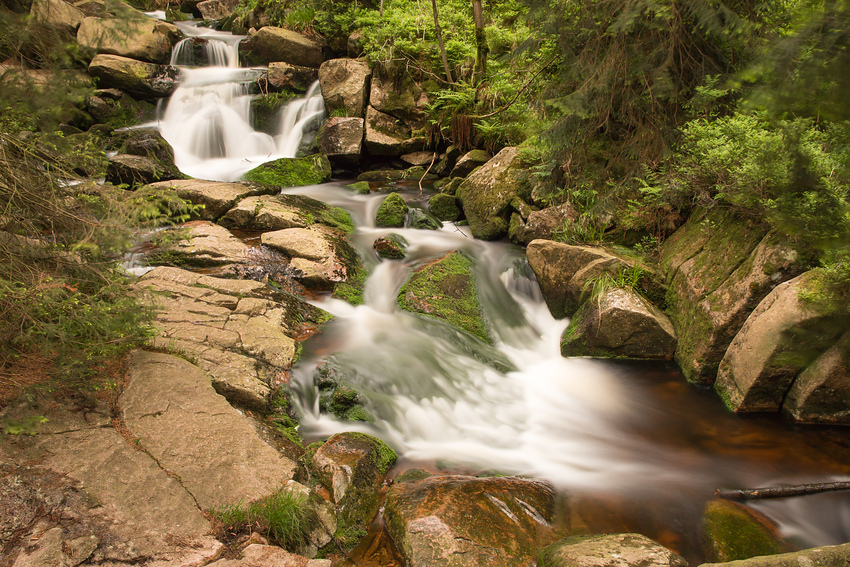 Im Tal der "Warmen Bode"