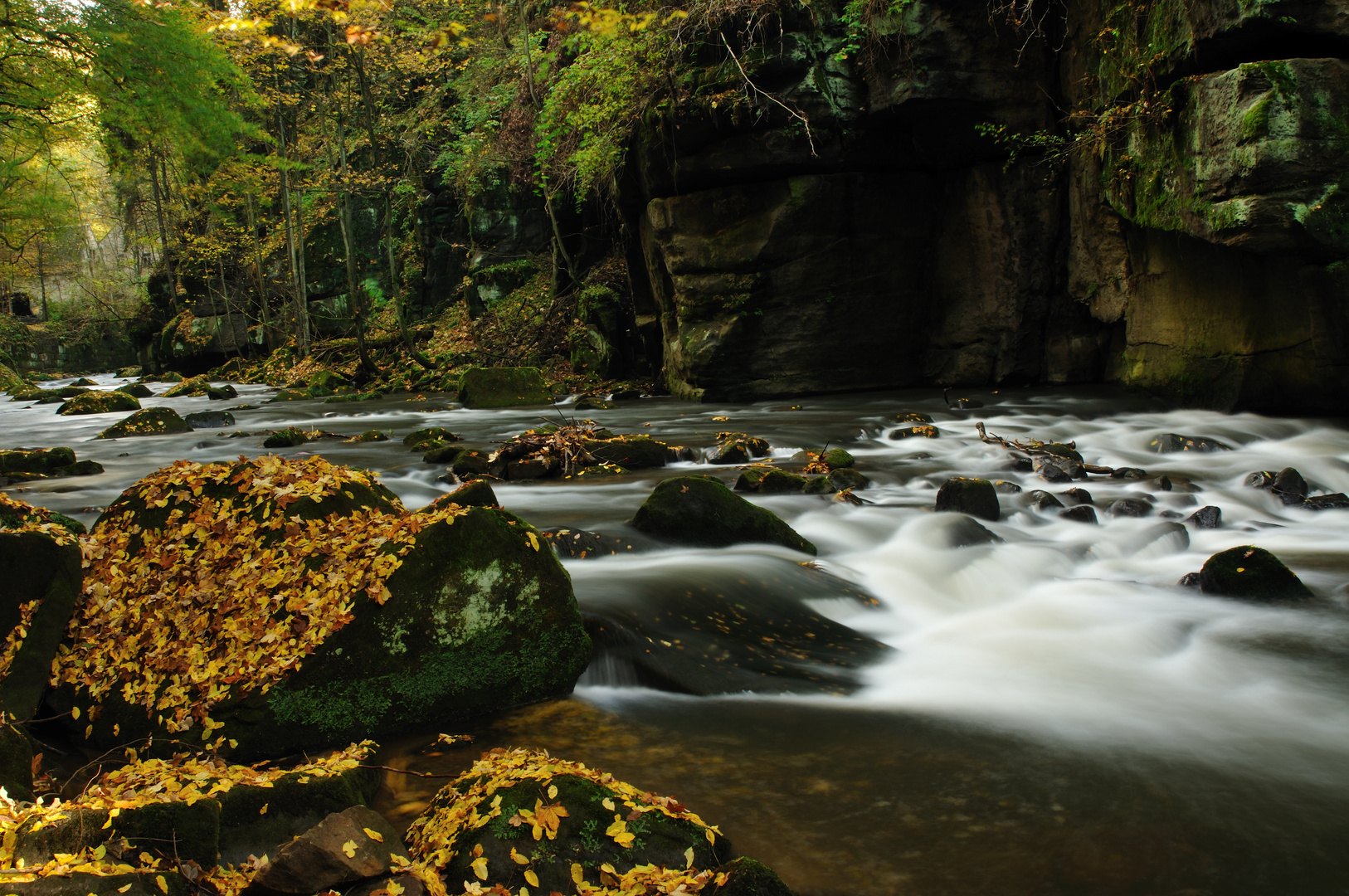 Im Tal der Wasseramsel